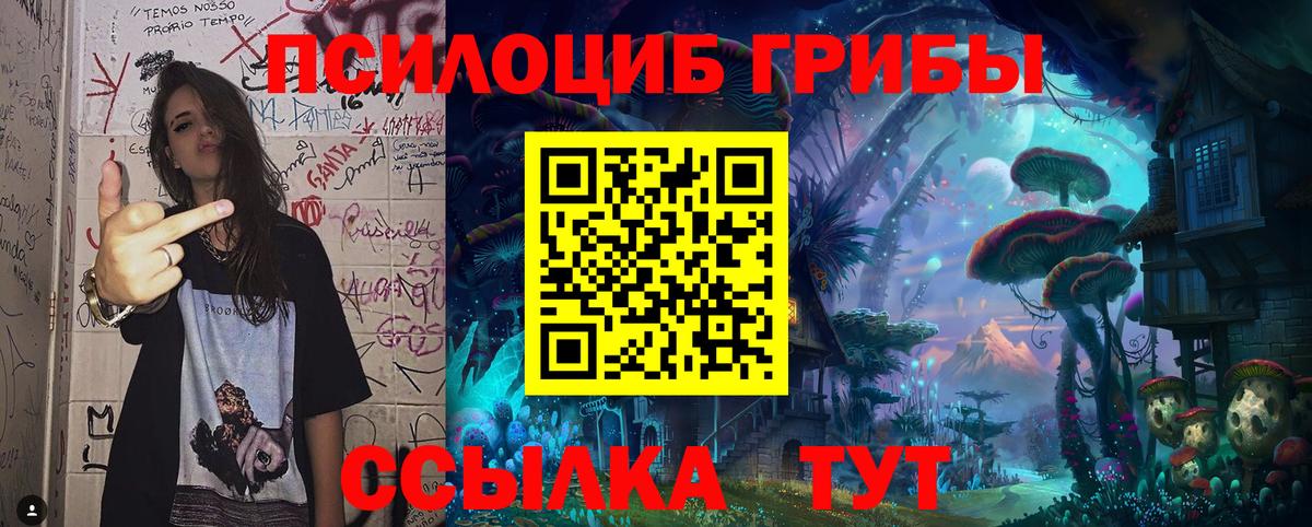 продажа наркотиков  Вход с VPN  Губкинский  Псилоцибиновые грибы мицелий  Псилоцибиновые грибы мухоморы 