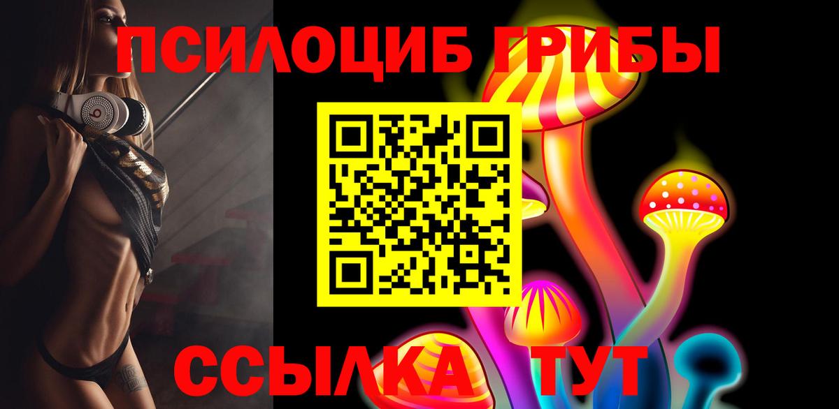 Псилоцибиновые грибы GOLDEN TEACHER Губкинский